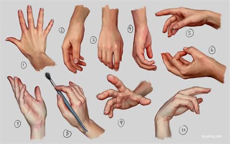 Pin by Fernanda Rosado on Estudo | Hand reference, Hand drawing reference, How to draw hands