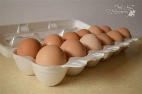 6 Ways to Preserve Eggs - Oak Hill Homestead