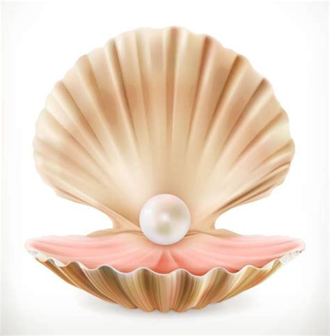 Oyster Pearl Clip Art