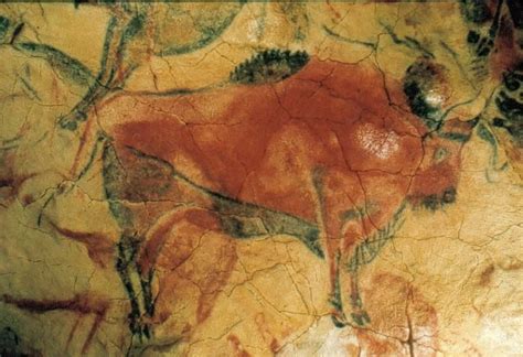 Bison, detail of a painted ceiling in the Altamira cave, Santander, Spain, ca. 12,000-11,000 BC ...