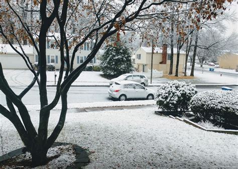 First Snow Of 2020: A Day In Photos From Manassas | Manassas, VA Patch