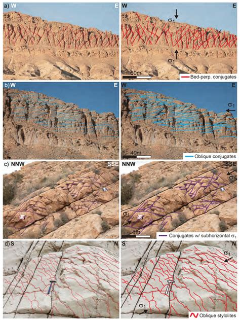 5: Examples of the main fracture and stylolite families in the Alima ...