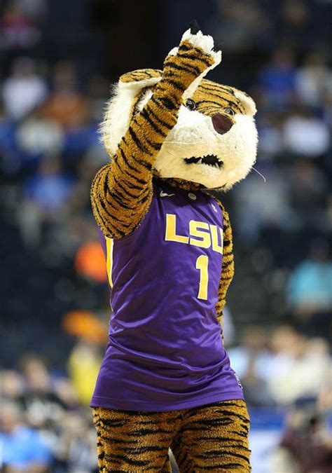 NCAA mascots in action | Lsu tigers football, Lsu football, Lsu