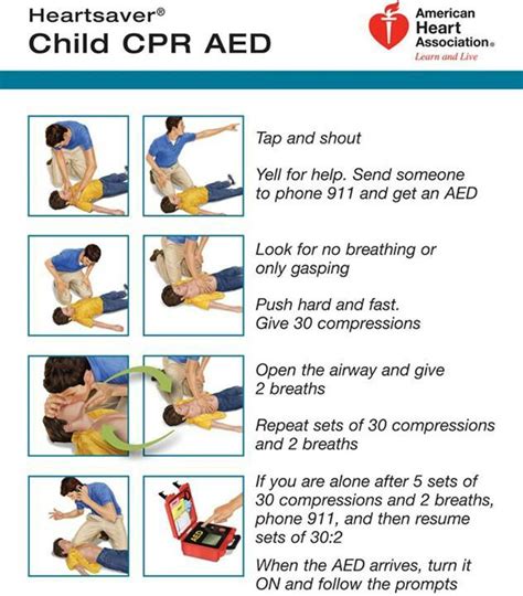 . Toddler Cpr, Infant Cpr, Adult Cpr, First Aid Cpr, Cpr Training, Respiratory Therapy, American ...