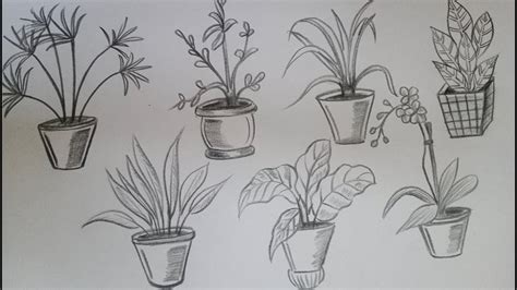 How to draw House plants drawing(Part 1)//easy plant drawing//Vel's Art ...