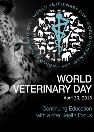 Poster to promote World Veterinary Day | Poster design contest by DesignCrowd | Page 2