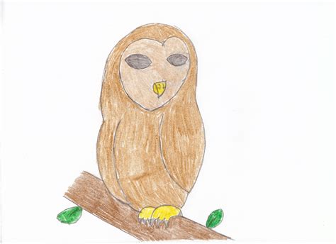 Cartoon Barn Owl Drawing by owllover - DragoArt
