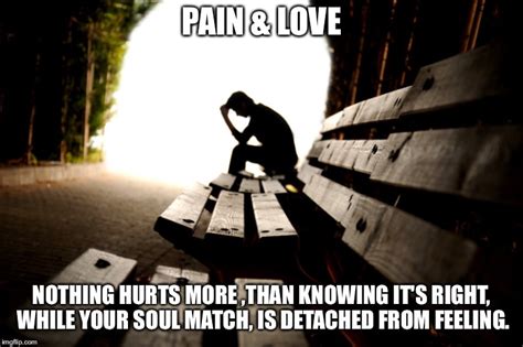 Love and Pain - Imgflip