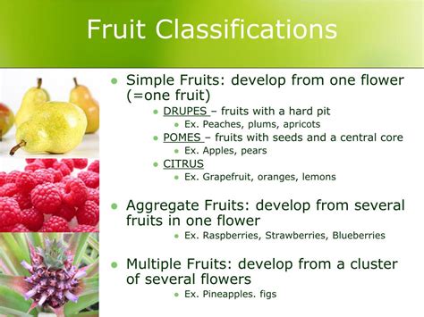 PPT - Fruits PowerPoint Presentation, free download - ID:1916586