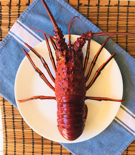 Incredible Spiny Lobster Feast with Garlic Butter – Rice Bucket Recipes