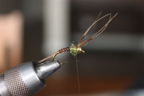 Fly Tying: The Ice-Dubbed Pheasant Tail Nymph - Arizona WanderingsArizona Wanderings