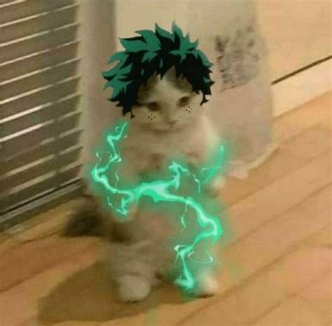 Deku Cat | Anime kitten, Cute anime guys, Cute anime character