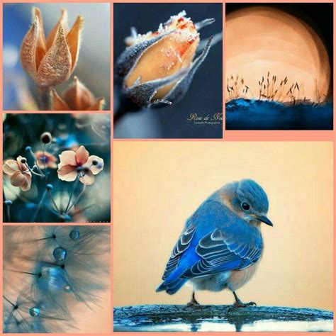 Nature collage, Beautiful collage, Beautiful nature wallpaper