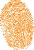 Orange Fingerprint Clip Art at Clker.com - vector clip art online, royalty free & public domain