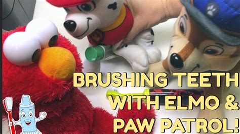 BRUSHING TEETH WITH ELMO & PAW PATROL - YouTube