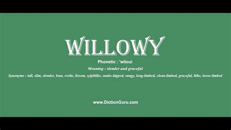 willowy: How to pronounce willowy with Phonetic and Examples - YouTube