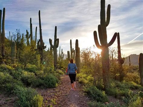 7 Things to Do in Mesa, AZ This Weekend | UrbanMatter Phoenix