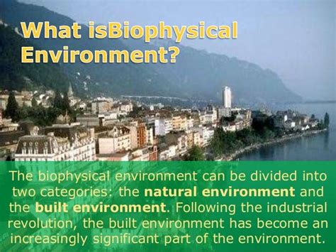 Environment and sustainable development