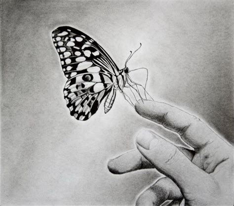 10+ Beautiful Butterfly Drawings for Inspiration 2022