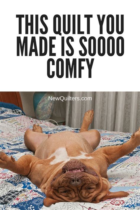 Funny Quilting Memes to Share | Quilting humor, Sewing humor, Dog quilts