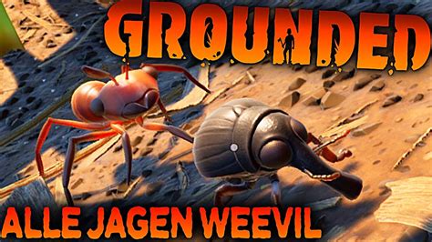 WEEVIL JAGD in Grounded Deutsch German Gameplay 50 - YouTube