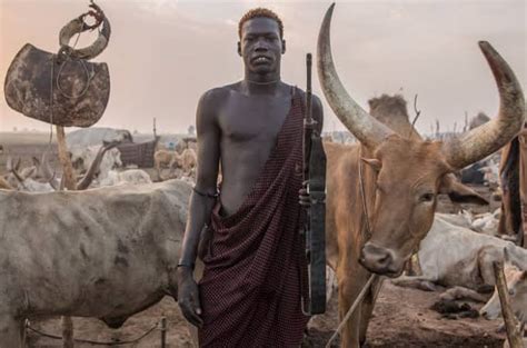 The Dinka System of Marriage, Where 100 Cattles are Paid as Dowry - NAIJA.FM