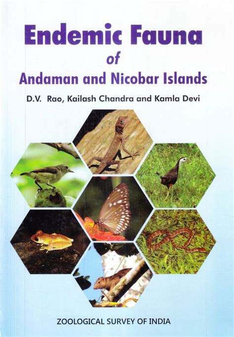 Endemic Fauna of Andaman and Nicobar Islands | NHBS Academic & Professional Books