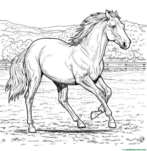 Resultado de imagen para PAISAJES PARA COLOREAR | Horse coloring pages ...