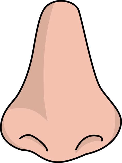 Nose Transparent PNG, Free Cartoon Nose Images - Free Transparent PNG Logos