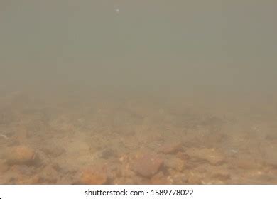 1,516 Murky Underwater Images, Stock Photos & Vectors | Shutterstock