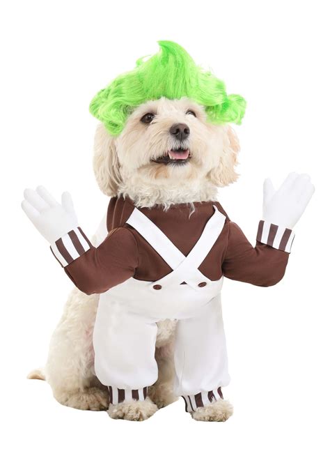 Dog Oompa Loompa Costume