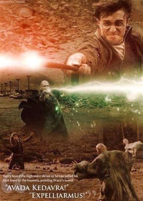 Lord Voldemort And Harry Potter Fighting