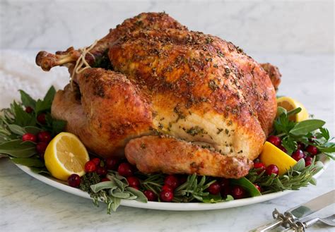 34+ The Best Turkey Thanksgiving Recipe Ever Images - Backpacker News