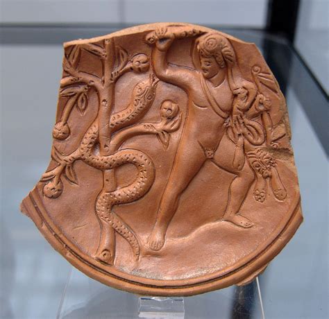 Ladon | Greek Mythology Wiki | FANDOM powered by Wikia