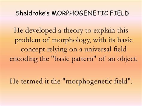 [ti]key[/ti]The Morphogenetic Field | Blue Monarch