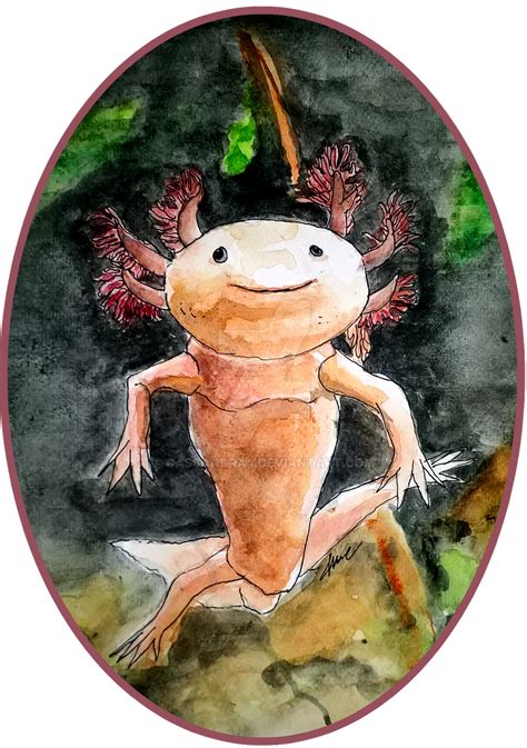 5 - Ambystoma Mexicanum by cassandra4 on DeviantArt