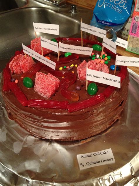 Animal Cell Of Cake : Absolutely Awesome and Fun Science Curriculum For Kids / Anna grace was ...