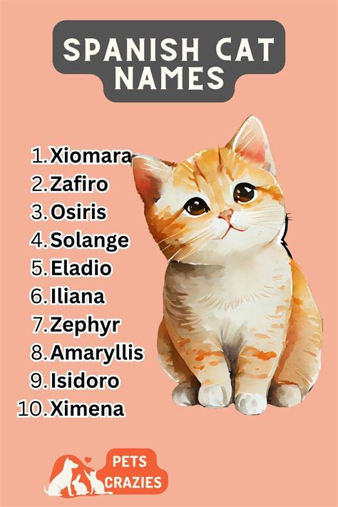 150+ Spanish Cat Names - Perfect for Your Feline!