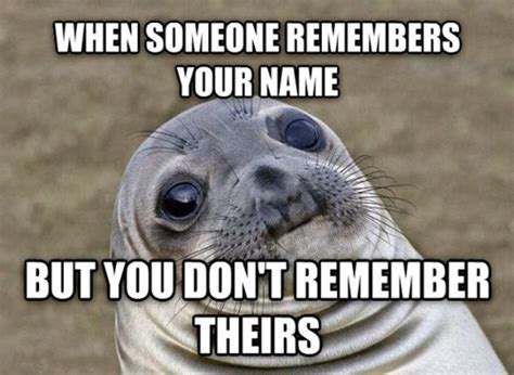 12 Best Awkward Moment Seal Memes - Dose of Funny