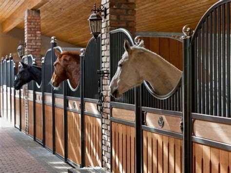 horse stable, horse stalls (With images) | Horse stables, Horse barn ideas stables, Luxury horse ...