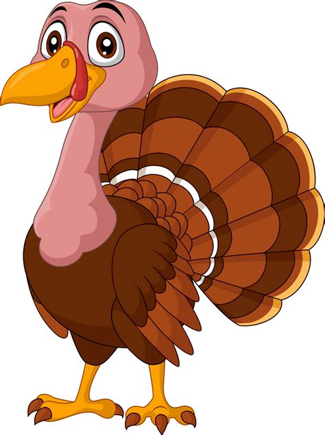 Cartoon turkey on white background 5152069 Vector Art at Vecteezy