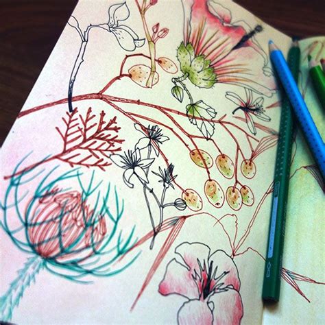 sketchbook pages | Blomster tegning, Tegning, Skitsebog