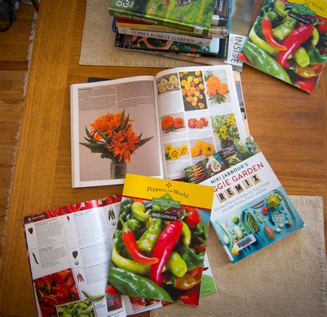 Best Vegetable Seeds Catalog – Sandia Seed Company