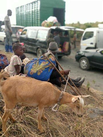 DRC Volcano and Evacuation of Goma: A Photo Blog – Higher Grounds Trading