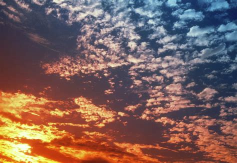 Cirrocumulus Clouds Seen In A Sunset Sky Photograph by Tony Craddock/science Photo Library