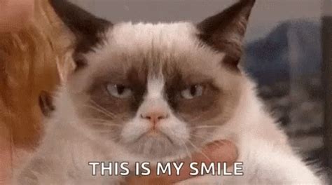 Grumpy Cat Smile GIF - Grumpy Cat Smile Grumpy Smile - Discover & Share GIFs