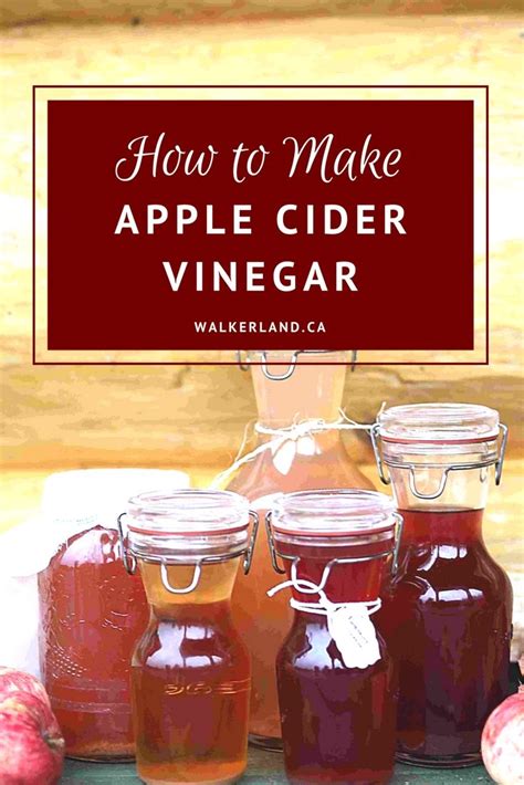 Apple cider vinegar recipe: Learn how to make apple cider vinegar & the mother with this easy to ...