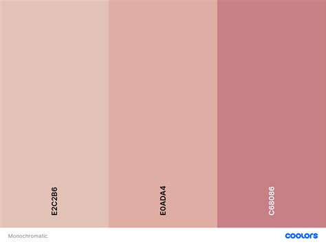 Monochromatic Color Palette | Colour pallete, Color, Monochromatic ...