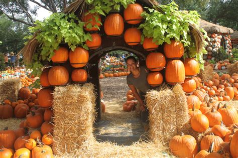 Autumn at the Arboretum, Pumpkin Village, The Dallas Arboretum, Garden, Fall, Dallas, Pumpkins ...