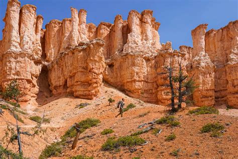 Fairyland Loop Trail: The Most Underrated (and Jaw-Dropping!) Hike in Bryce Canyon National Park ...